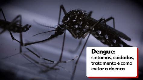 como tratar dengue-4
